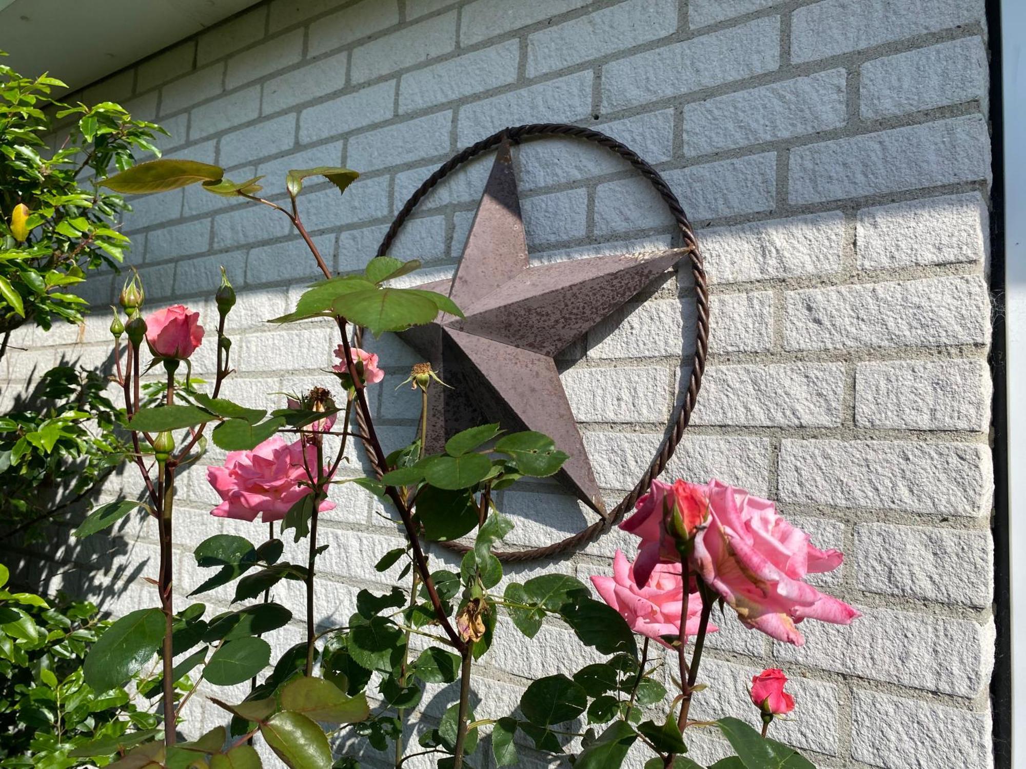 Lonestar Appartement Burgh-Haamstede Luaran gambar